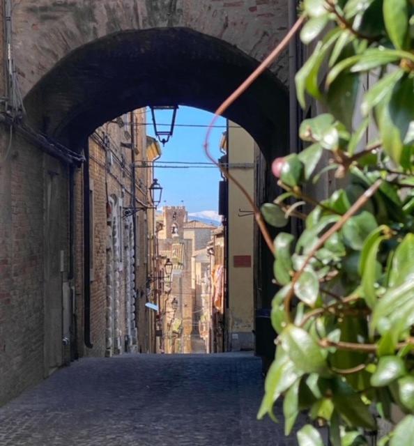 Appartamento La Casa Del Gelsomino Acquaviva Picena Esterno foto