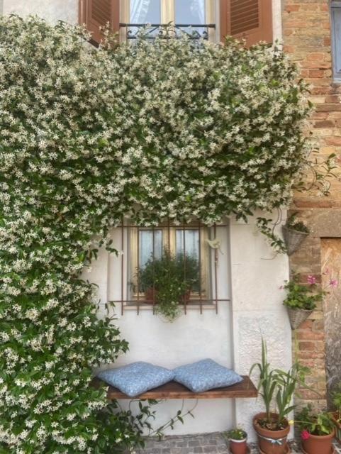 Appartamento La Casa Del Gelsomino Acquaviva Picena Esterno foto